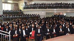 avocat au barreau du Cameroun